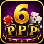 6 PPP Game