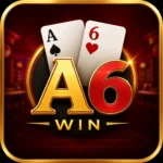 A6 Win Game