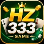 HZ333 Game